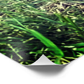 Cute Golden Doodle Poster (Ecke)