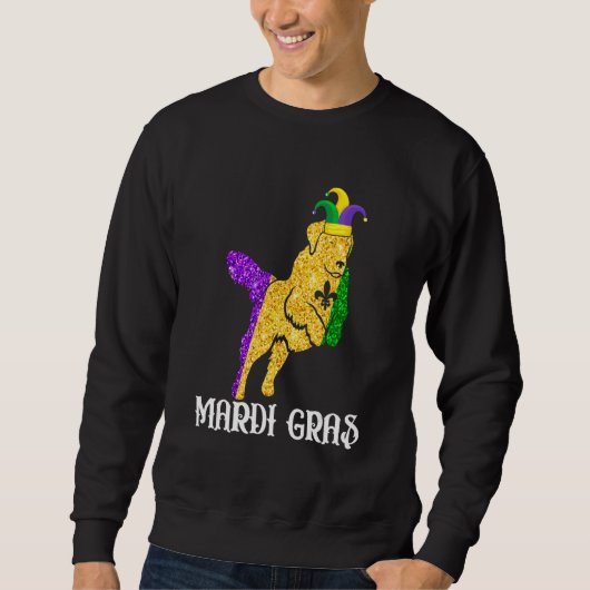 Cute Golden Retriever Dog Lover Mardi Gras Party J Sweatshirt (Vorderseite)