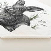 Cute Gray Rabbit Among the Grass Sherpadecke (3/4)