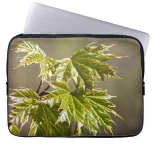 Cute green maple branch with small leaves laptopschutzhülle