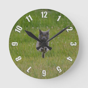 Cute Grey Farm Cat Racing Across Green Grass Photo Runde Wanduhr