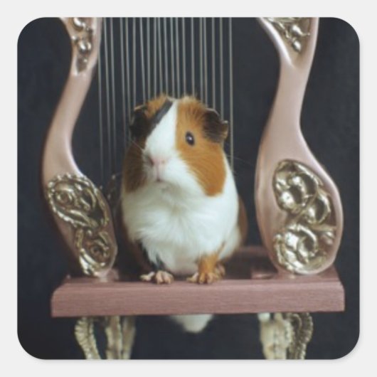 Cute Guinea Pig Harp Sticker (Vorderseite)