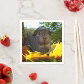 Cute Guinea Pig in Nature Serviette (Beispiel)