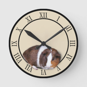 Cute Guinea Pig  Runde Wanduhr