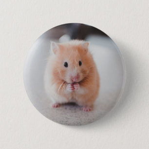 Cute Hamster Love Animals Button
