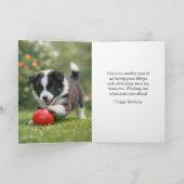 Cute Happy Birthday Border Collie Greeting Card Karte (Innenseite)