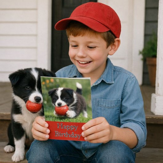 Cute Happy Birthday Border Collie Greeting Card Karte