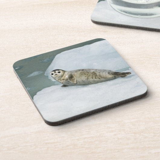 Cute Harbor Seal on Snow Getränkeuntersetzer (Linke Seite)