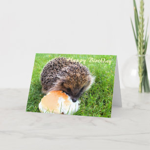 CUTE HEDGEHOG KARTE