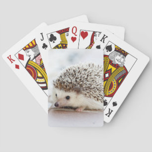 Cute Hedgehog Spielkarten