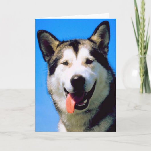 Cute husky dog foto customizable greeting card karte (Vorderseite)