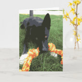 Cute Husky Lab Dog With Rope Toy Black Karte (Gelbe Blume)