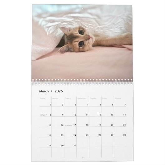 Cute Kitten And Cat Pet Photo Kalender (Mär 2026)
