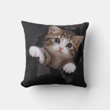 Cute Kitten