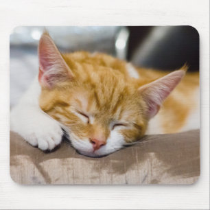 Cute Kitten Mousepad