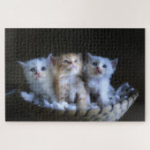 Cute Kitten Puzzle (Horizontal)