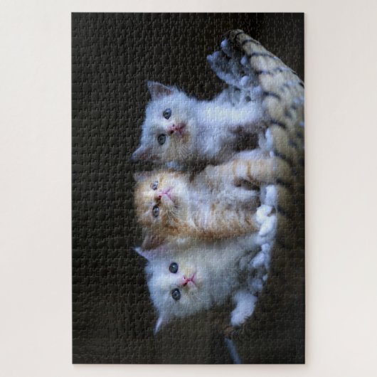 Cute Kitten Puzzle (Vertikal)