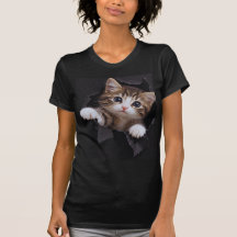 Cute Kitten