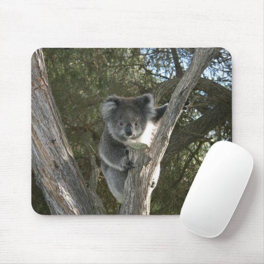 Cute Koala Climbing a Tree Photo Mousepad (Mit Mouse)