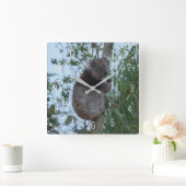 Cute Koala Climbing in a Tree Australia Square Wal Quadratische Wanduhr (Zuhause)