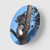 Cute Koala in a tree with a blue background Runde Wanduhr (Winkel)