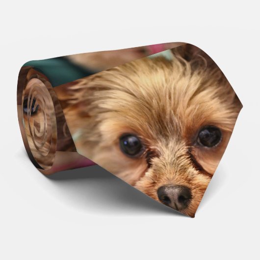 Cute Krawatte (Gerollt)