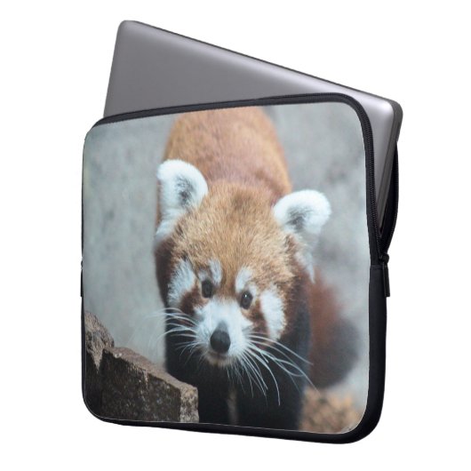 Cute Laptopschutzhülle (Vorderseite Links)