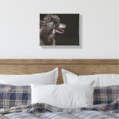 Cute Leinwanddruck (Insitu (Schlafzimmer))