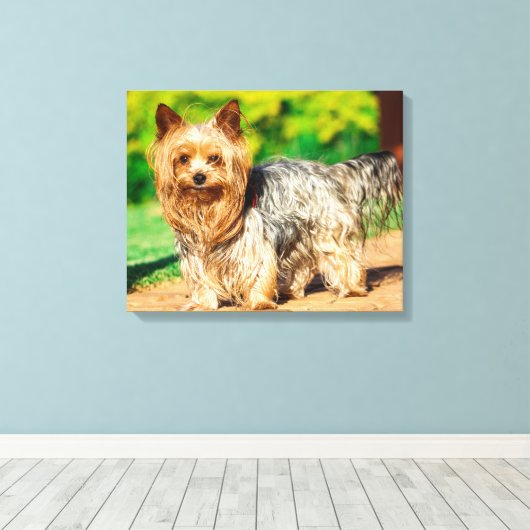 Cute Leinwanddruck (Insitu (Holzboden))