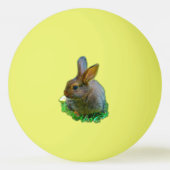 Cute little Bunny Tischtennisball (Vorderseite)