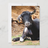 CUTE LITTLE GOAT Invitation (Vorderseite)