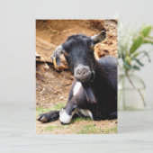 CUTE LITTLE GOAT Invitation (Stehend Vorderseite)
