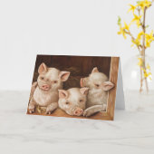 Cute little piglets in a barn at the farm karte (Gelbe Blume)