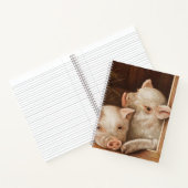 Cute little piglets in a barn at the farm notizblock (Innenseite)