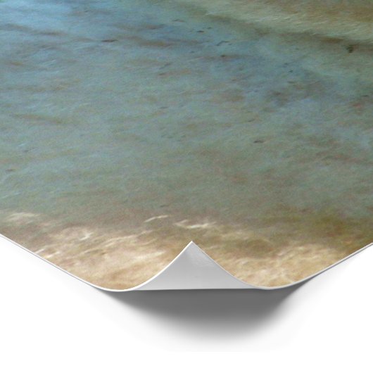 CUTE LITTLE SHEEP POSTER (Ecke)