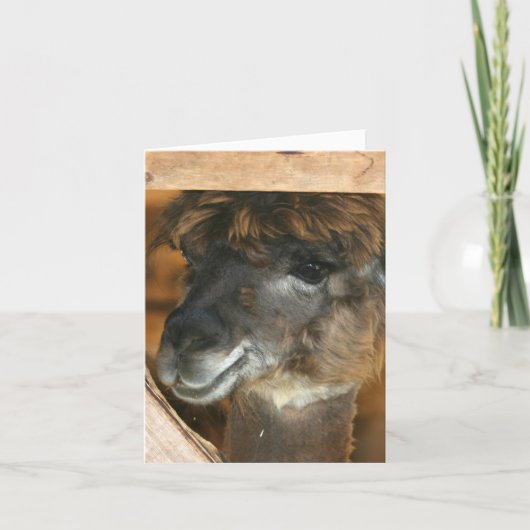 Cute Llama Farm Animal Photography Note Karte (Vorderseite)
