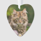 Cute Maine Coon Kitten Cat in a Flower Meadow - Ornament (Vorderseite)