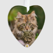 Cute Maine Coon Kitten Cat in a Flower Meadow - Ornament (Vorderseite)