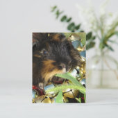 Cute Merry Christmas Guinea Pig Postkarte (Stehend Vorderseite)