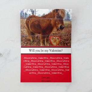 Cute Miniature Horse Valentine Pony and Heart Karte