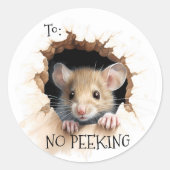 Cute Mouse gift No Peeking Runder Aufkleber (Vorderseite)