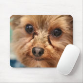 Cute Mousepad (Mit Mouse)