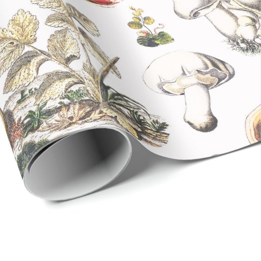 Cute Mushroom Frog Snail Forest Pattern Geschenkpapier (Rolleneckpunkt)