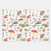 Cute Mushroom Frog Snail Forest Pattern Geschenkpapier Set (Vorderseite 3)
