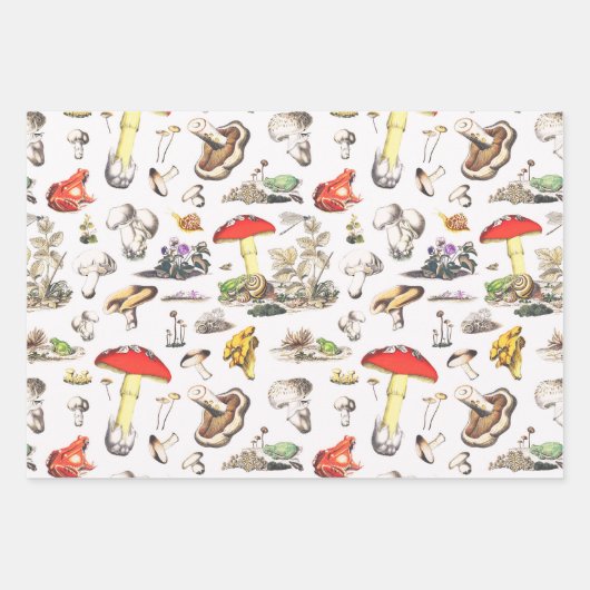 Cute Mushroom Frog Snail Forest Pattern Geschenkpapier Set (Vorderseite 3)