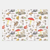 Cute Mushroom Frog Snail Forest Pattern Geschenkpapier Set (Vorderseite 2)