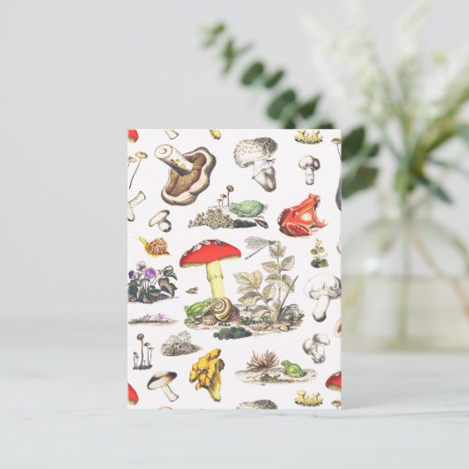 Cute Mushroom Frog Snail Forest Pattern Postkarte (Stehend Vorderseite)
