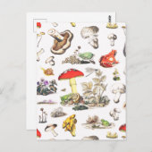 Cute Mushroom Frog Snail Forest Pattern Postkarte (Vorne/Hinten)