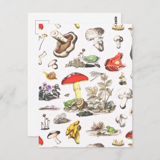Cute Mushroom Frog Snail Forest Pattern Postkarte (Vorne/Hinten)