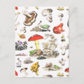 Cute Mushroom Frog Snail Forest Pattern Postkarte (Vorderseite)